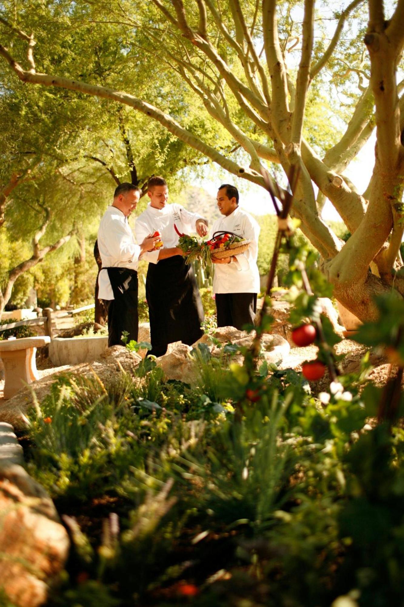 Jw Marriott Scottsdale Camelback Resort&spa 5* Paradise Valley